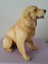 Large labrador dog for sale  GILLINGHAM