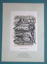 Arte gráfica COLCHESTER OSTERS veleiros fluviais pássaros - impressão 1955 comprar usado  Enviando para Brazil