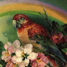 C.1910 colorful rainbow for sale  Cincinnati
