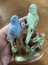 parakeets love bird for sale  Saint Petersburg