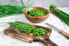 2000 seeds chives for sale  Shipping to Ireland