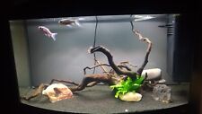 Vendo bellissimo acquario usato  Arezzo