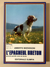 Epagneul breton piccolo usato  Campobasso