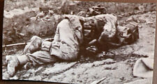 Gebraucht, 1939 Polenfeldzug 2. WK toter polnischer Soldat-Opfer bei Infasion Foto gebraucht kaufen  Connewitz