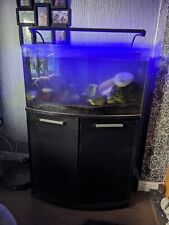 bow front aquarium fish tank for sale  BARNSLEY