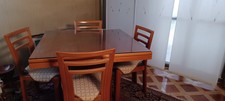 caccia volpe usato caccia volpe usato Piacenza
