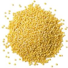Organic hulled millet for sale  Brooklyn