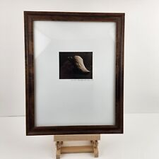 Original framed photograph for sale  Alton Bay
