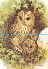 D184693 tawny owl for sale  WARLINGHAM