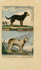 Antique print dogs d'occasion  Expédié en Belgium