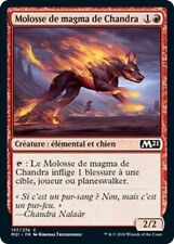 Molosse magma chandra d'occasion  Lesneven