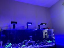 red sea fish tank for sale  Brunswick