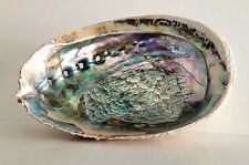Vintage abalone shell for sale  The Villages