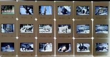 Lote de 18 #22037 de colección 1986 35 mm extensiones zoológico de San Francisco elefante hipopótamo tigre, usado segunda mano  Embacar hacia Argentina