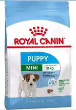 Mini puppy royal usato  Carate Brianza