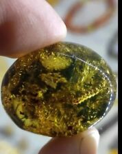Genuine baltic amber for sale  COVENTRY