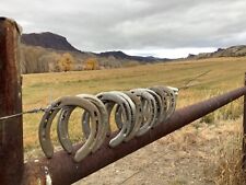 1 Used lucky Horseshoe ,Steel Decorative Rustic Western Decor, Cody Wyoming for sale  Shipping to South Africa