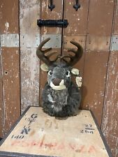 Dunelm stag head for sale  OXFORD