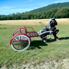 Vintage 1940 mobo for sale  Roanoke