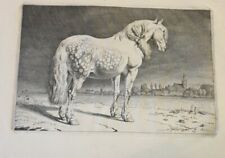 Gravure cheval 1652 d'occasion  L'Isle-sur-la-Sorgue