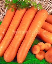 Organic vegetable carrot for sale  DEWSBURY