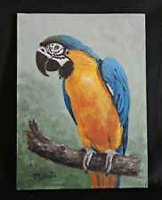 oil parrot painting for sale  Palm Coast