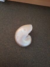 pearl nautilus shell for sale  BOSTON