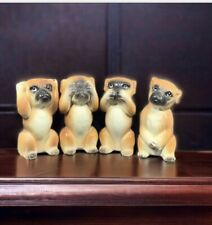 Boxer dogs miniature for sale  Cheltenham