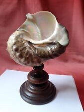 Vintage large conch for sale  BLYTH