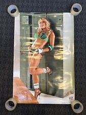 PÓSTER TRISH STRATUS ESTRATUSFACTION GARANTIZADO 24x36" - WWF/WWE DIVA WRESTLING, usado segunda mano  Embacar hacia Argentina