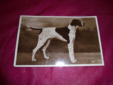 Vintage postcard. pointer for sale  Chillicothe