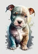 Cute puppy pitbull usato  Stignano