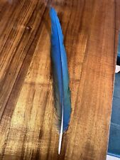 Macaw parrot tail for sale  Shipping to Ireland