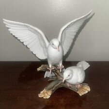 white doves pure for sale  Mc Calla