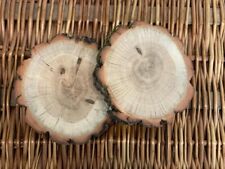 Oak hardwood log for sale  DUNS