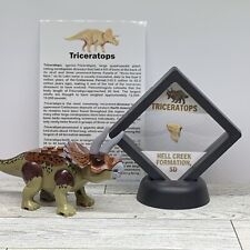 Triceratops extinct dinosaur for sale  Davenport