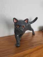 British grey cat for sale  MANCHESTER
