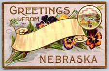 Nebraska greetings rolled for sale  Newton