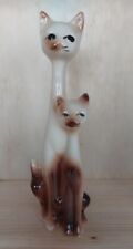 Siamese cat kitten for sale  OKEHAMPTON