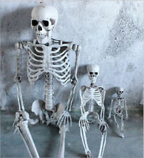 Skelett halloween 40cm gebraucht kaufen  Versand nach Germany