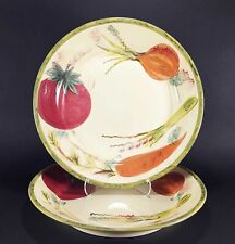 Used, Pasta Dinner Plates Stoneware Tuscan Vegetables by Home 12" Set 2 for sale  Shipping to South Africa