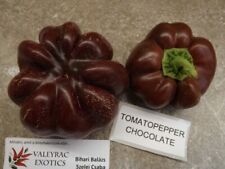 Chocolate tomato peppers for sale  Shipping to Ireland