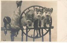 Três gatinhos em uma máquina Cats Ag #MK809 comprar usado  Enviando para Brazil