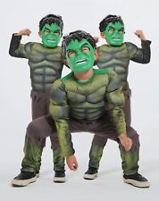 Cosplay hulk déguisement d'occasion  Saillagouse