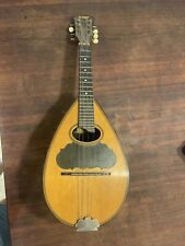 Vintage rex mandolin for sale  Lindsay