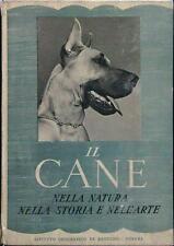Cane nella natura usato  Italia