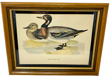 Vintage bimaculated duck for sale  Federal Way