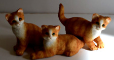 Leonardo ginger kittens for sale  WIGTON