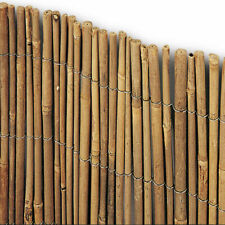 Arella bamboo metri usato  Prato