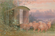 Shepherd hut southdowns for sale  COLNE